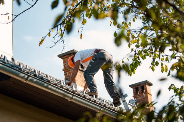 Best Roof Moss and Algae Removal  in South Rockwood, MI