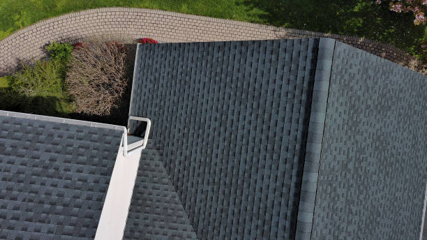 Best Sheet Metal Roofing  in South Rockwood, MI