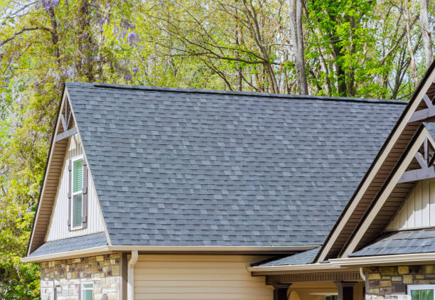 Best Sheet Metal Roofing  in South Rockwood, MI