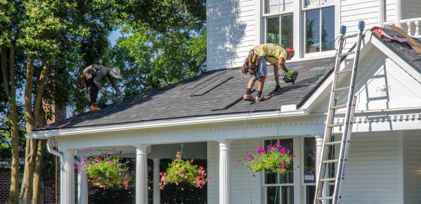 Best Green or Eco-Friendly Roofing Solutions  in South Rockwood, MI